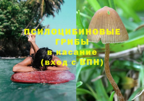прущий лед Алексин